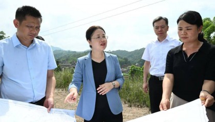 钟畅姿到浦北县督导涉重金属环境安全隐患排查整治及产业项目建设工作