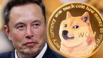 马斯克被告“狗狗币传销”！索赔2580亿美元，马斯克与狗狗币的不解之缘！