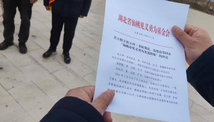 听劝！仙桃给“白龙马”开表彰大会，嘉奖其见义勇为