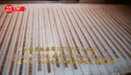 习近平湖北行丨璀璨历史 现代绽放——走进云梦县博物馆