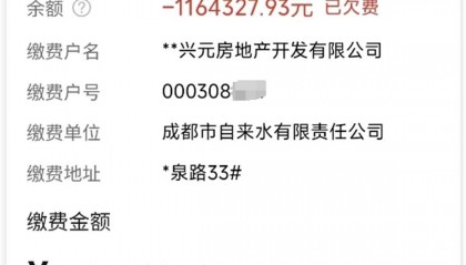 成都一小区拖欠水费116万余元，物业：部分业主不缴费没办法