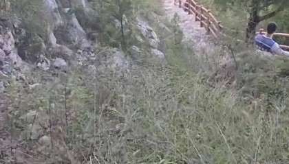 刚刚证实：苏某某已身亡，年仅29岁！遗体在离家2公里处……