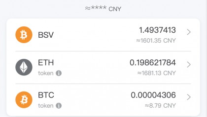 BSV交易平台(bsv在哪个交易所)