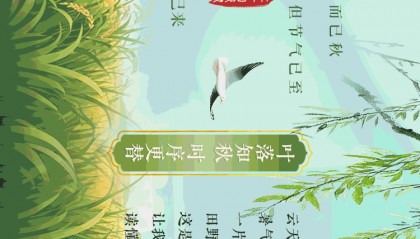 今天13时52分，正式进入！青岛人期待已久