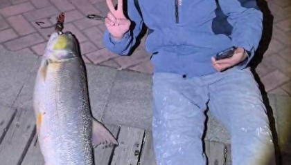 江西男子钓到56斤鳡鱼晚上骑电动车绕城5小时炫耀：如果不冷要逛到天亮