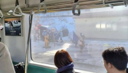 正在拍照，女游客被撞身亡