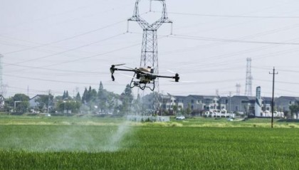 时评：让希望的田野展现“新”活力