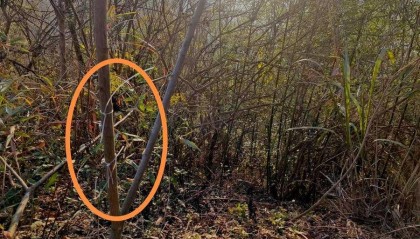 湖北黄石一教师遭捕兽电网电击身亡，家属：五年至少三人被电击过