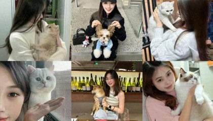 常州去哪里买猫买狗狗，哪里有宠物卖