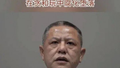 打赏网络女主播超50万元！落马副局长贪腐细节披露