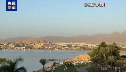 哈马斯代表团：与以色列间接谈判取得积极进展，联合国秘书长敦促各方立即停止敌对行动