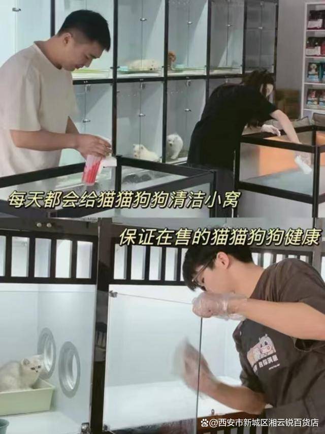 温州买宠物去哪里 温州卖宠物的在哪里