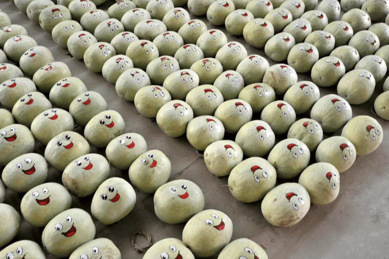 “含糖量”极高!解锁“北方水果公园”山西万荣的甜蜜