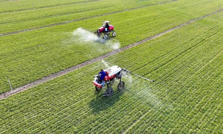 “二十一连丰”，中国粮食过剩了吗？