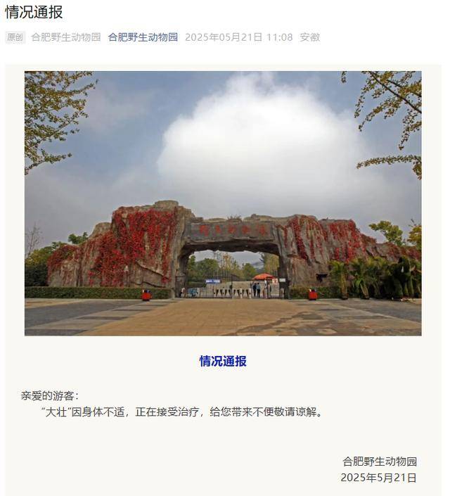 网红猴“大壮”突然离世!曾因方脸“丑”出圈