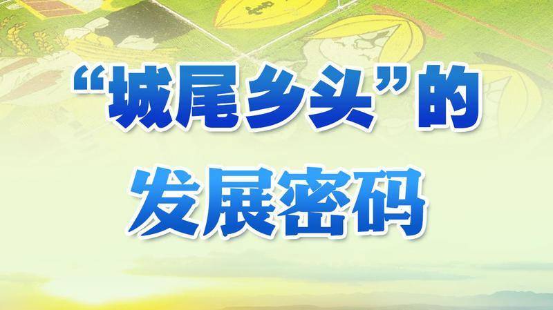 习近平总书记关切事丨“城尾乡头”的发展密码