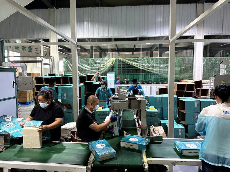 习近平总书记关切事丨“城尾乡头”的发展密码