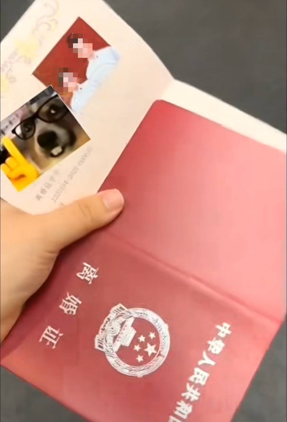 结婚证发成离婚证！网友调侃“第一次见合照的离婚证”，长春一民政局：发错了，已道歉
