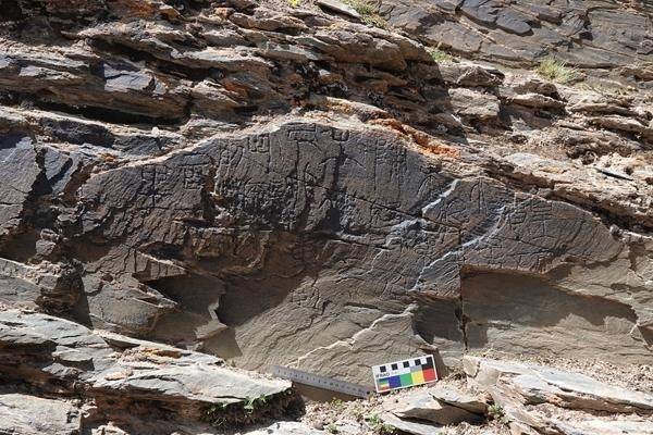 “昆仑”,找到了?