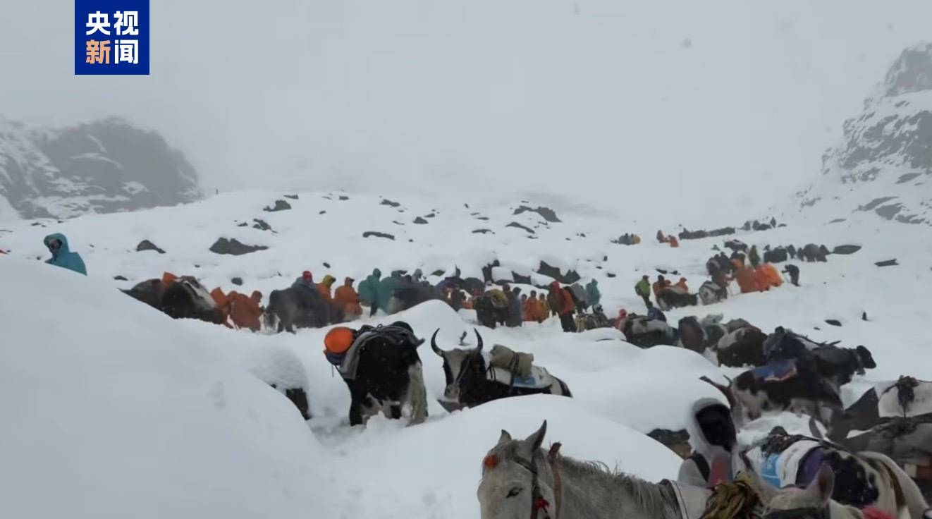 西藏定日县嘎玛沟徒步游客已得到妥善安置