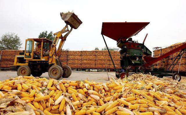 应对持续阴雨天气,山东积极行动保障“三秋”生产