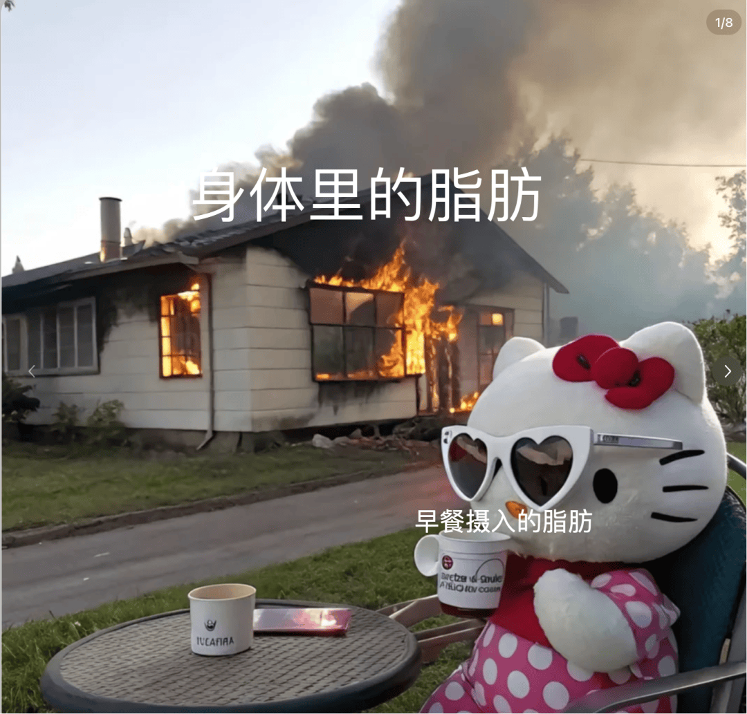 人生建议:女性早餐真应该多吃点脂肪!