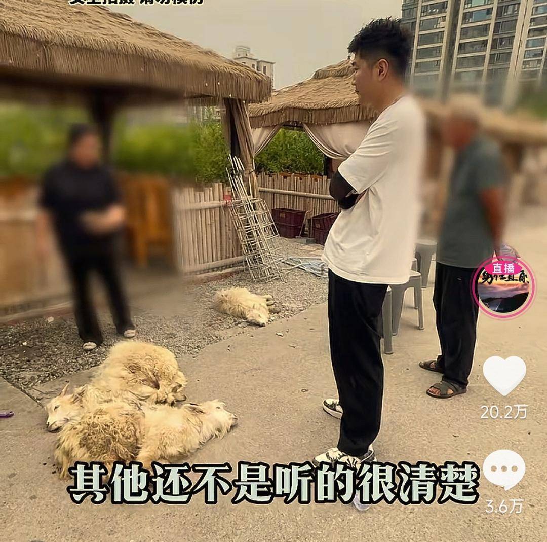 60斤活羊实际只有30多斤！博主打假重庆两家烤全羊店获“退一赔三”